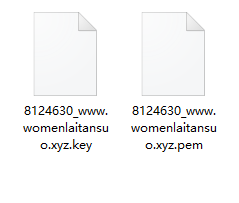 为远程群晖NAS的自定义域名配置SSL证书插图5 为远程群晖NAS的自定义域名配置SSL证书插图5