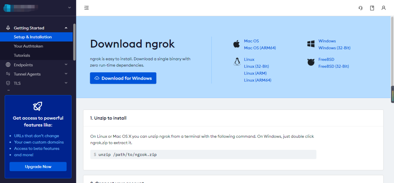 使用ngrok对黑群晖进行内网穿透/公网访问插图 使用ngrok对黑群晖进行内网穿透/公网访问插图