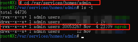 使用ngrok对黑群晖进行内网穿透/公网访问插图4 使用ngrok对黑群晖进行内网穿透/公网访问插图4
