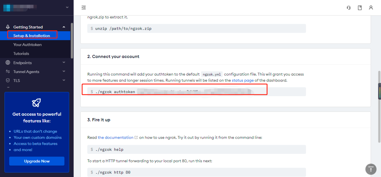 使用ngrok对黑群晖进行内网穿透/公网访问插图5 使用ngrok对黑群晖进行内网穿透/公网访问插图5