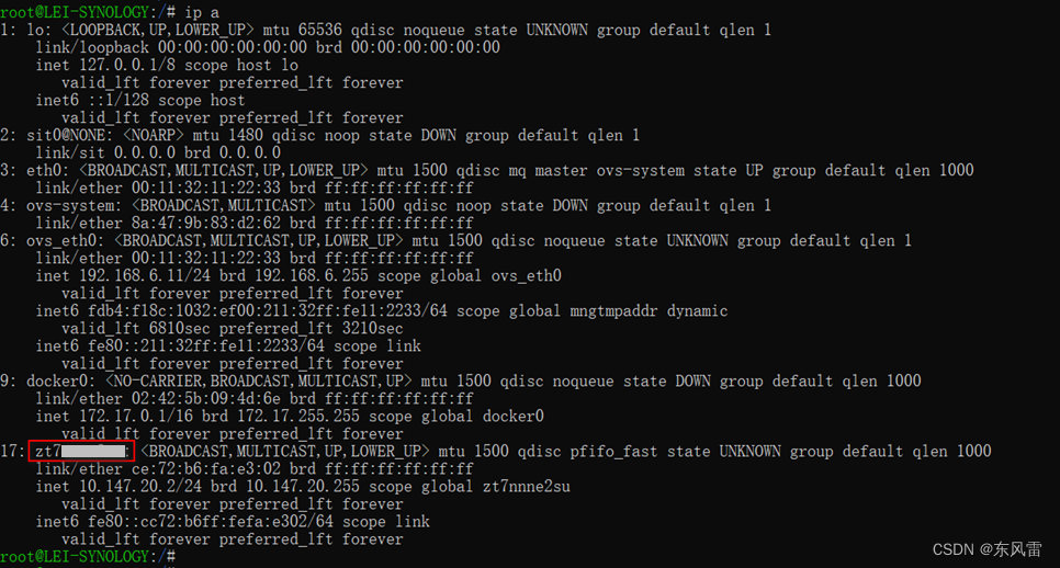 群晖docker部署zerotier重启不能连接的自动解决方法插图1 群晖docker部署zerotier重启不能连接的自动解决方法插图1