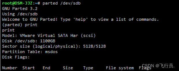 【ESXi中的群晖存储空间扩容】插图6 【ESXi中的群晖存储空间扩容】插图6