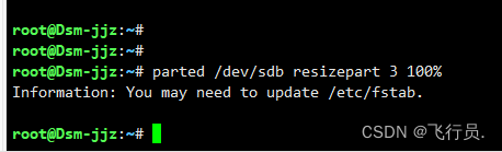 【ESXi中的群晖存储空间扩容】插图8 【ESXi中的群晖存储空间扩容】插图8