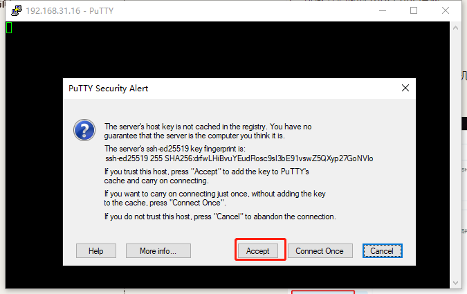 黑群晖(DSM7)使用docker挂载zerotier one实现内网穿透插图1 黑群晖(DSM7)使用docker挂载zerotier one实现内网穿透插图1