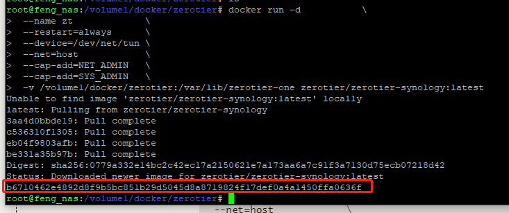 黑群晖(DSM7)使用docker挂载zerotier one实现内网穿透插图5 黑群晖(DSM7)使用docker挂载zerotier one实现内网穿透插图5