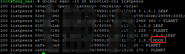 黑群晖(DSM7)使用docker挂载zerotier one实现内网穿透插图10 黑群晖(DSM7)使用docker挂载zerotier one实现内网穿透插图10